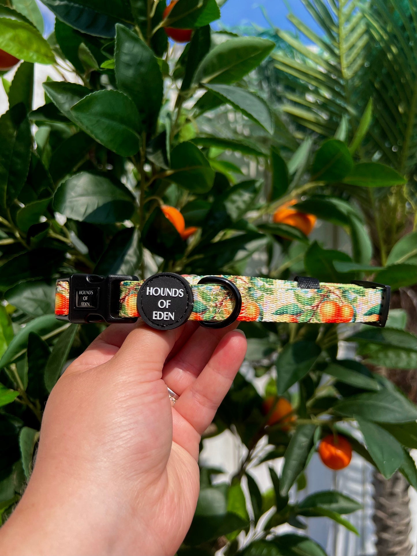 Simply the Zest - Oranges Dog Harness - The Bark Market