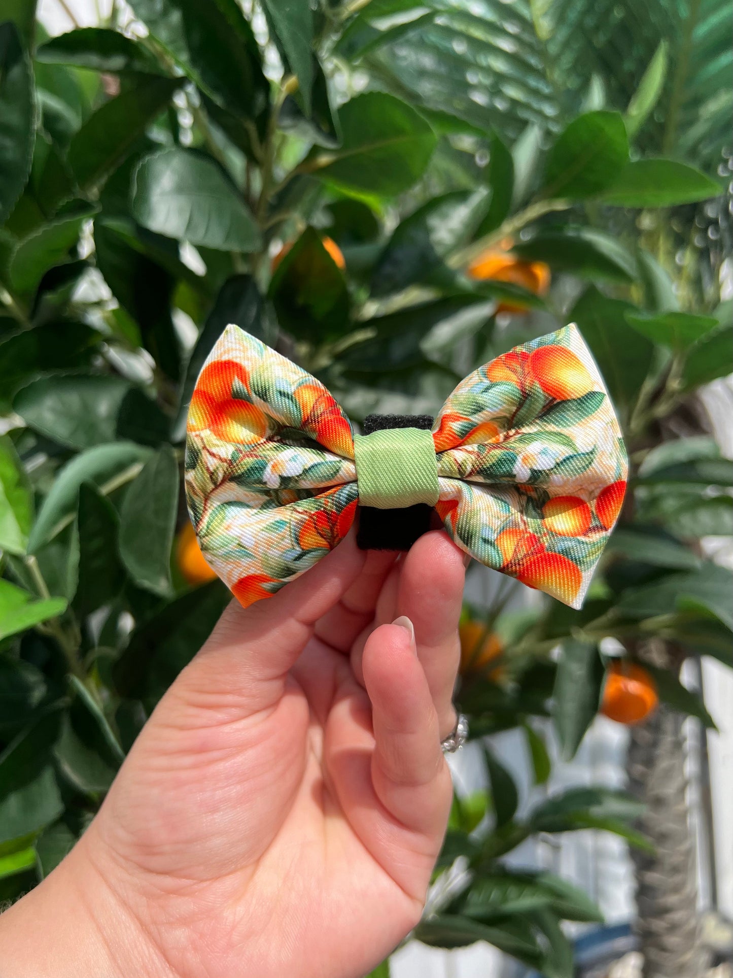 Simply the Zest - Oranges Dog Harness - The Bark Market