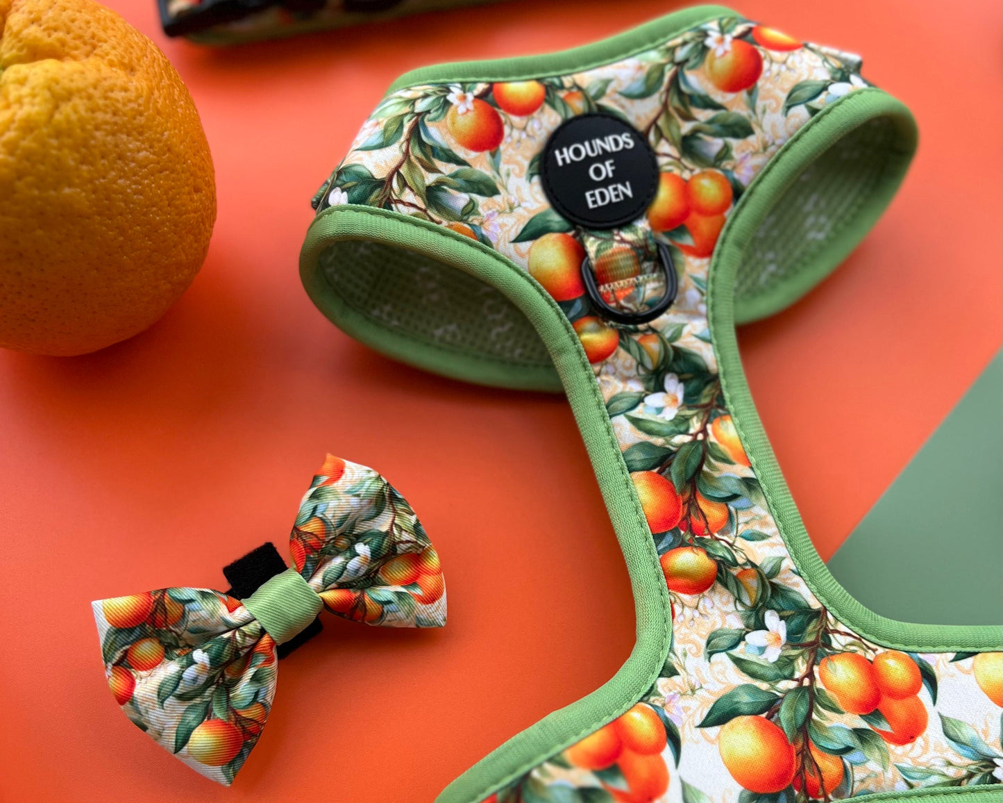 Simply the Zest - Oranges Dog Bow Tie - The Bark Market