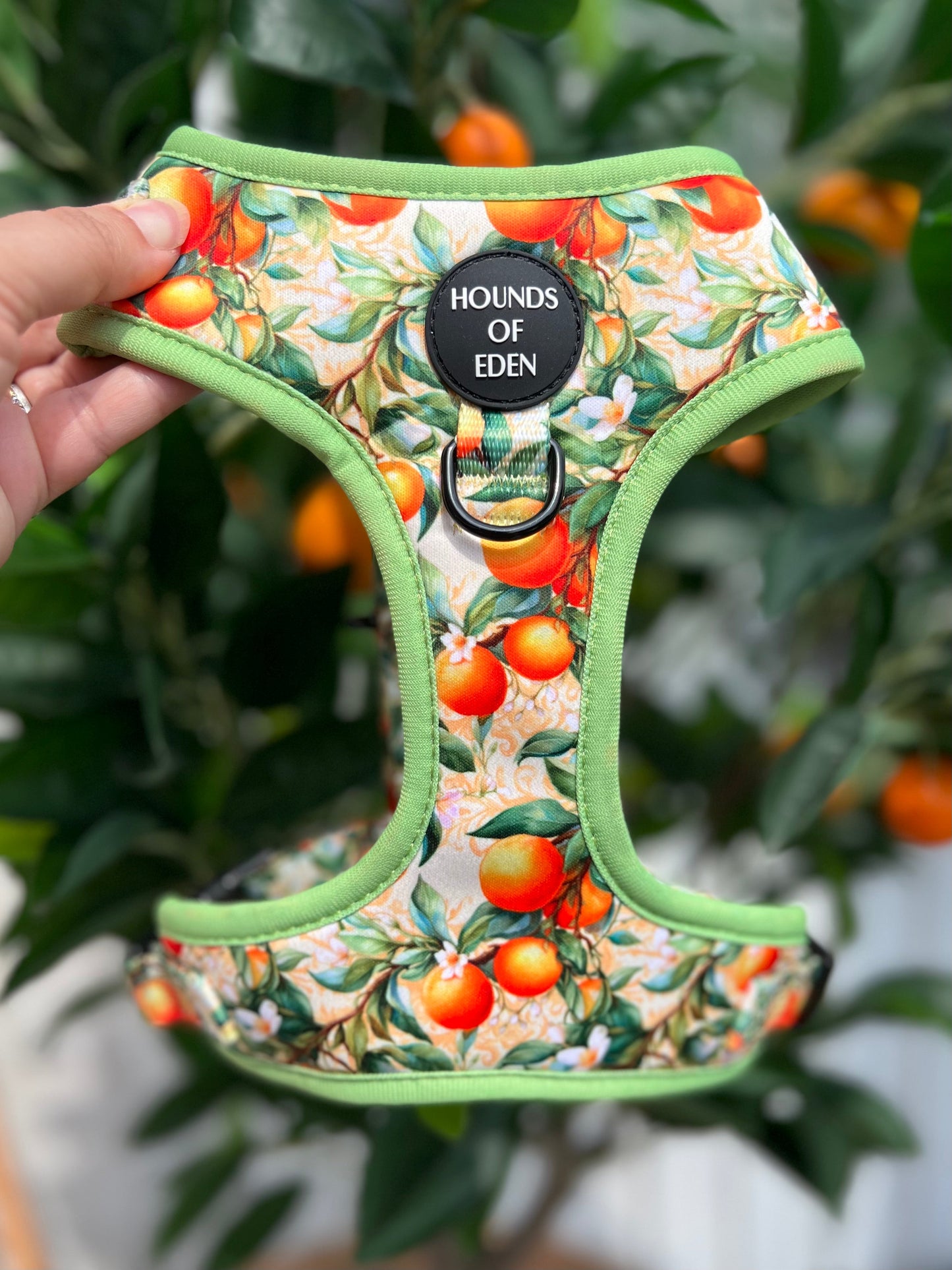Simply the Zest - Oranges Dog Harness - The Bark Market