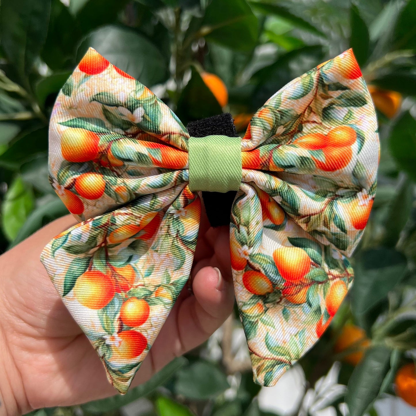Simply the Zest - Oranges Dog Harness - The Bark Market