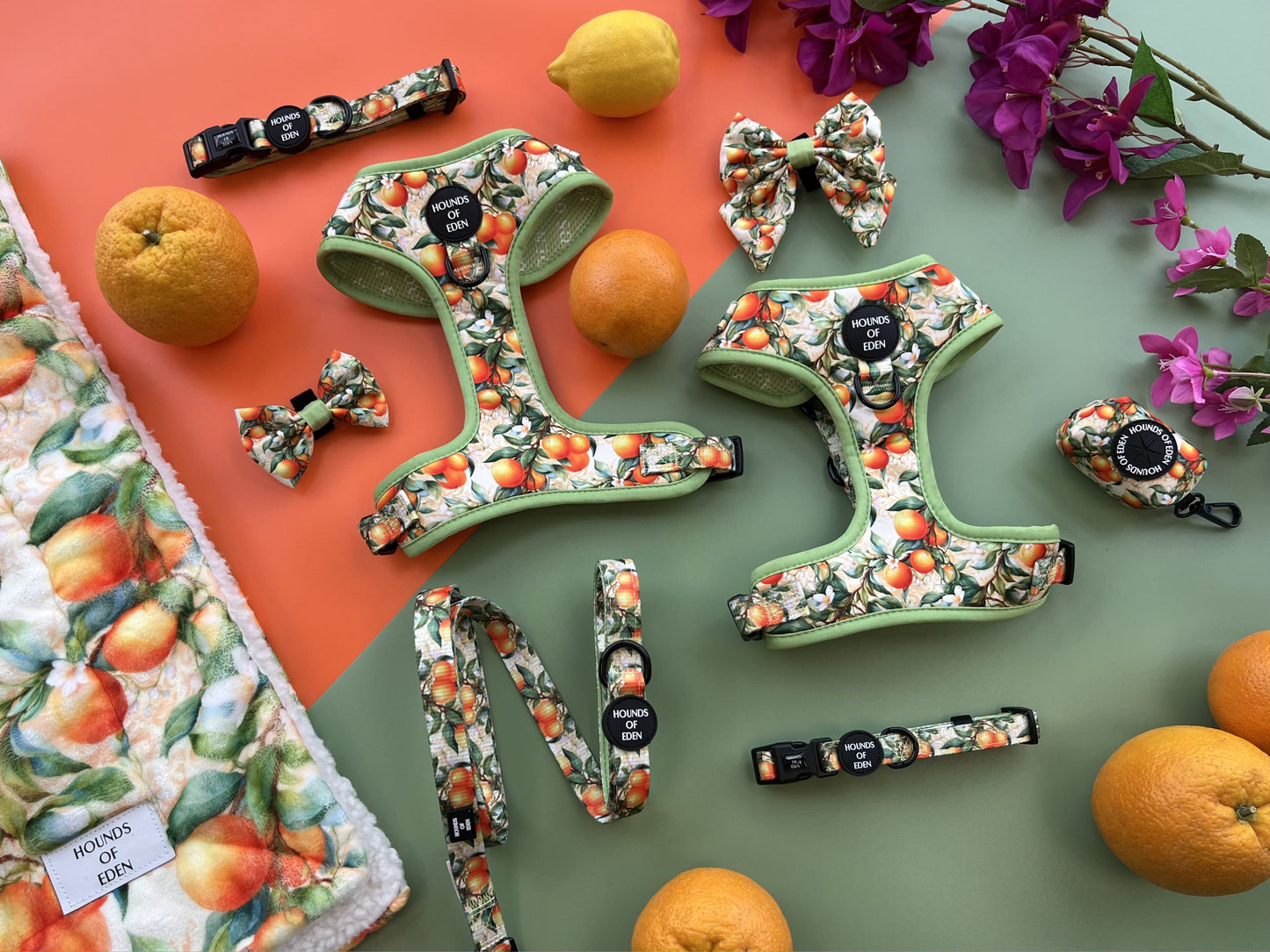 Simply the Zest - Oranges Dog Harness - The Bark Market