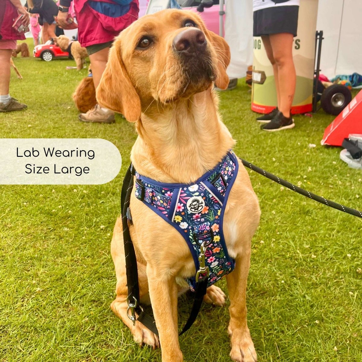 Rugged Rover™ Harness - Summer Meadow - The Bark Market