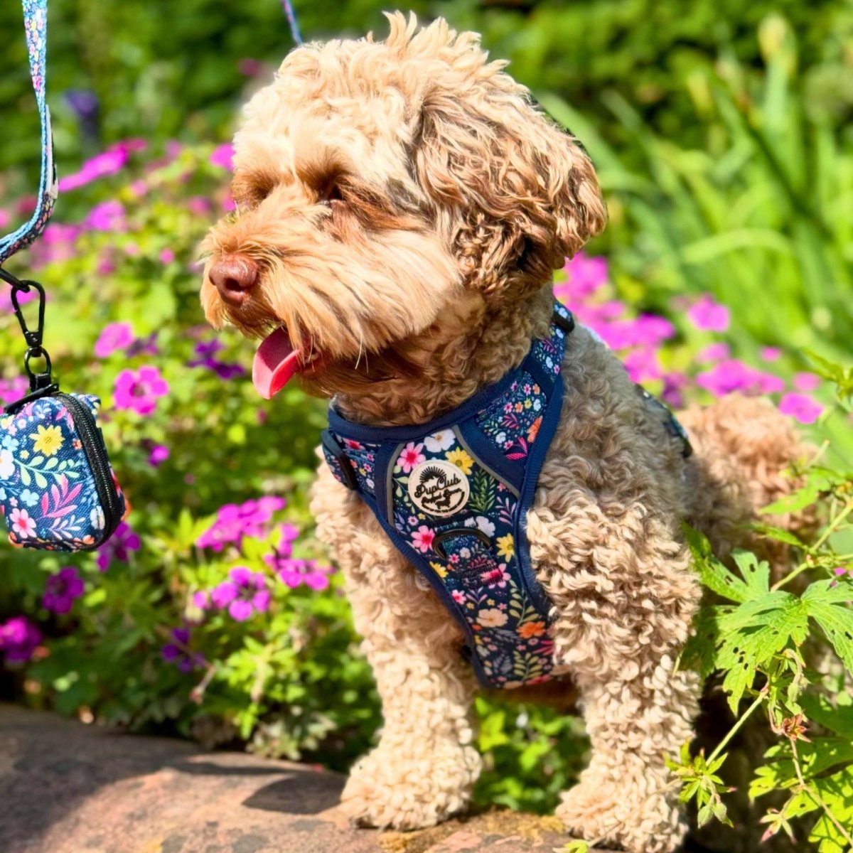 Rugged Rover™ Harness - Summer Meadow - The Bark Market