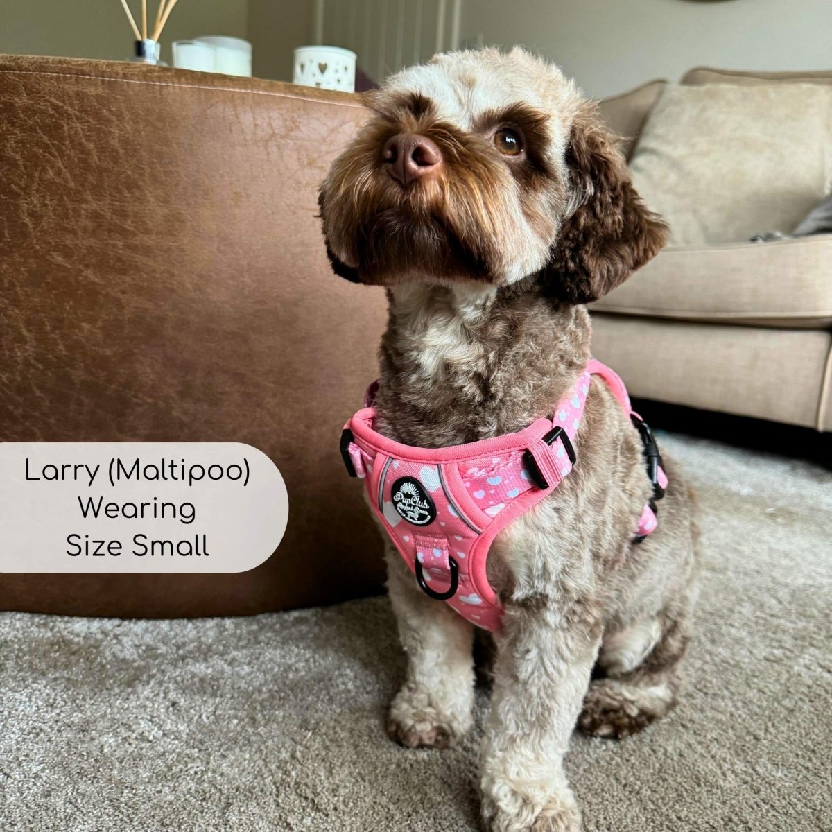 Rugged Rover™ Harness - Peachy Hearts - The Bark Market