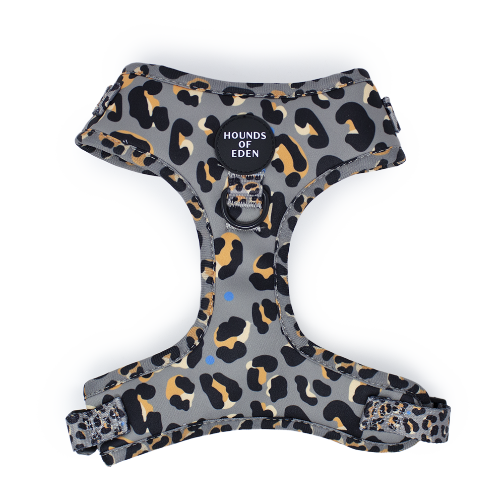 'Steel Leopard' - Khaki/Grey Dog Harness - The Bark Market