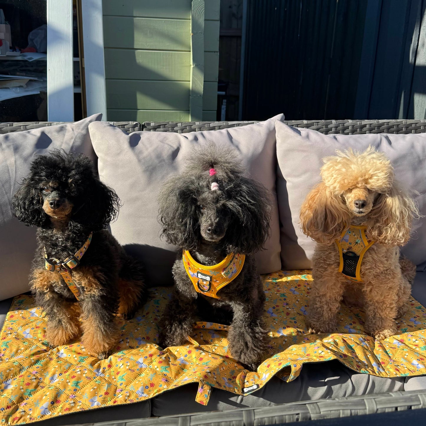 Summer Buzzin' Dog Settle Mat – Lightweight, Waterproof & Travel-Friendly - The Bark Market