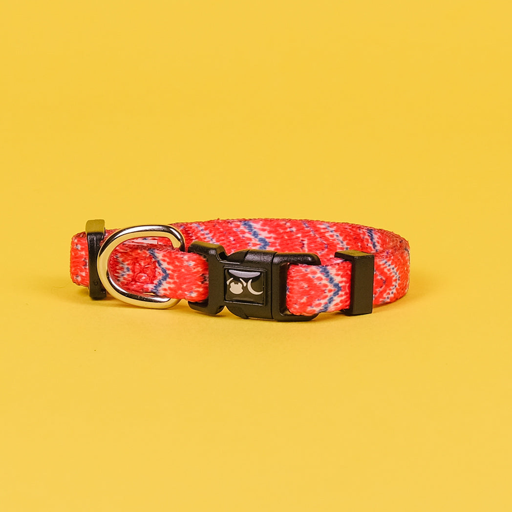 The Tod Dog Collar - The Bark Market