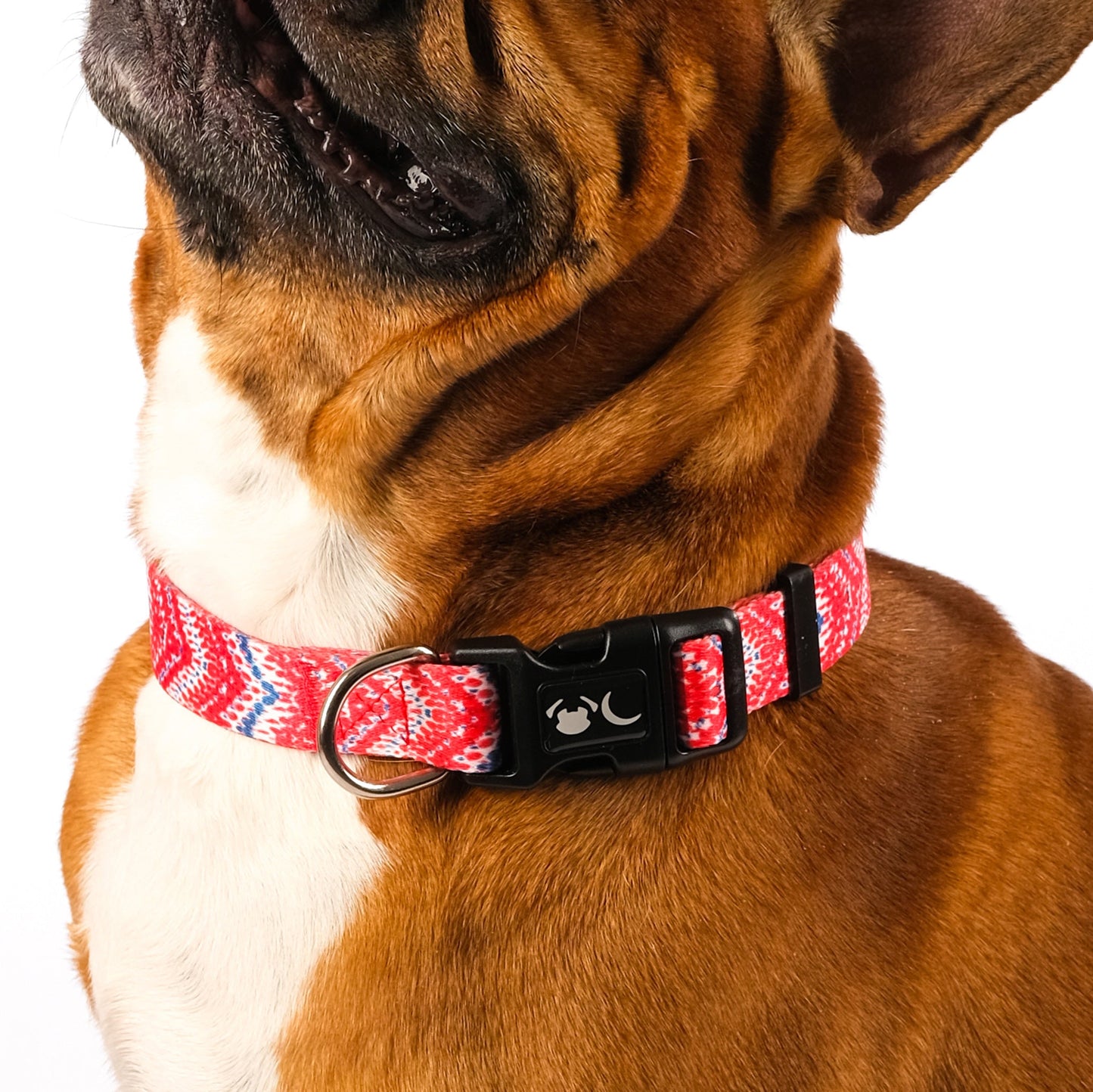 The Tod Dog Collar - The Bark Market