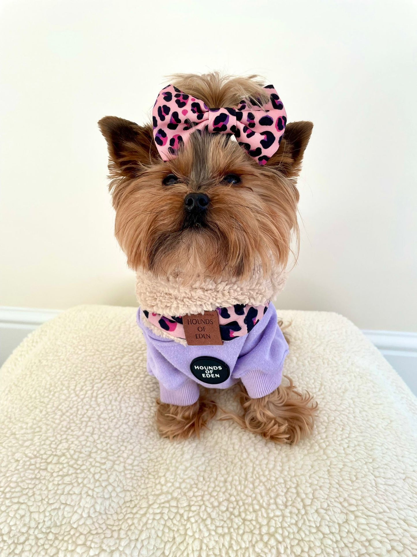 Dog Hoodie - Lilac - The Bark Market
