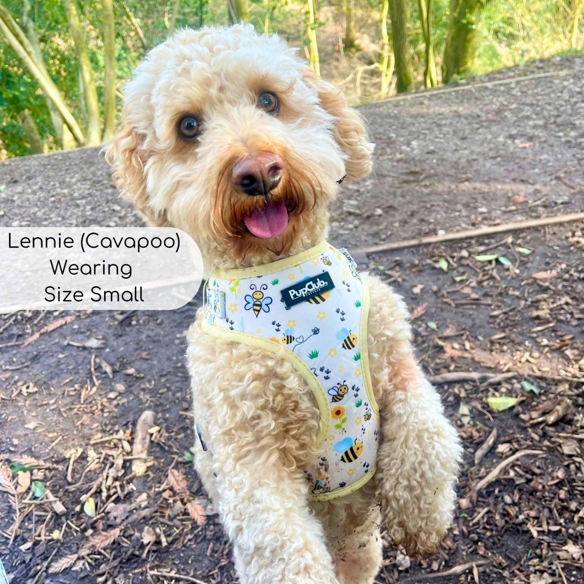 Adjustable Harness - Bee-utiful Summer - The Bark Market