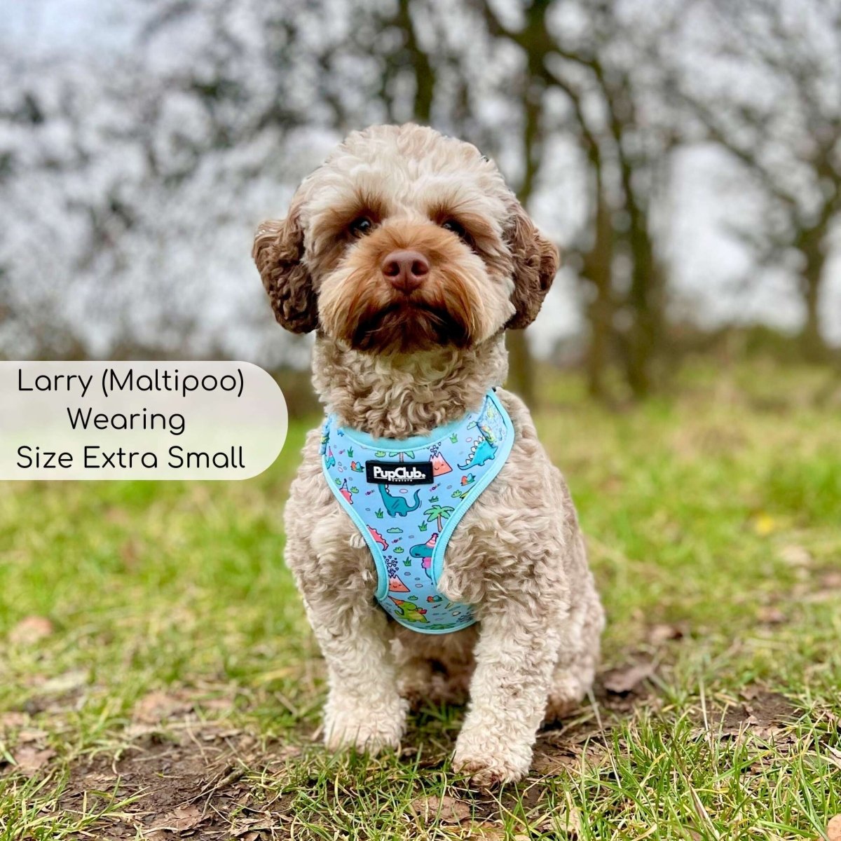 Adjustable Harness - Jurassic Party - The Bark Market