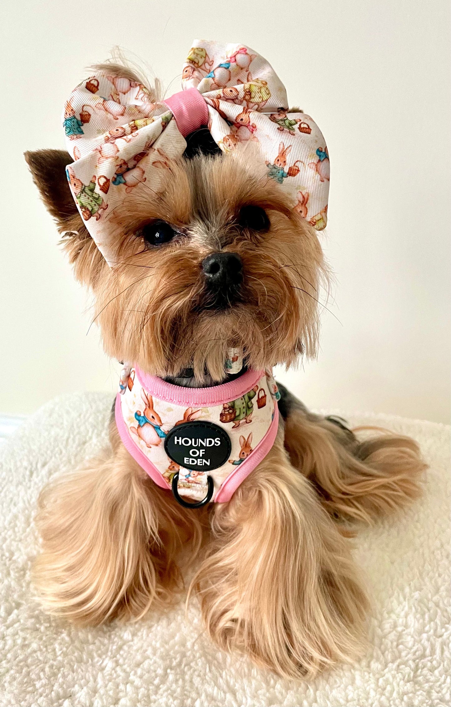 Bunny Tales - Pink, Dog Sailor Bow Tie - The Bark Market