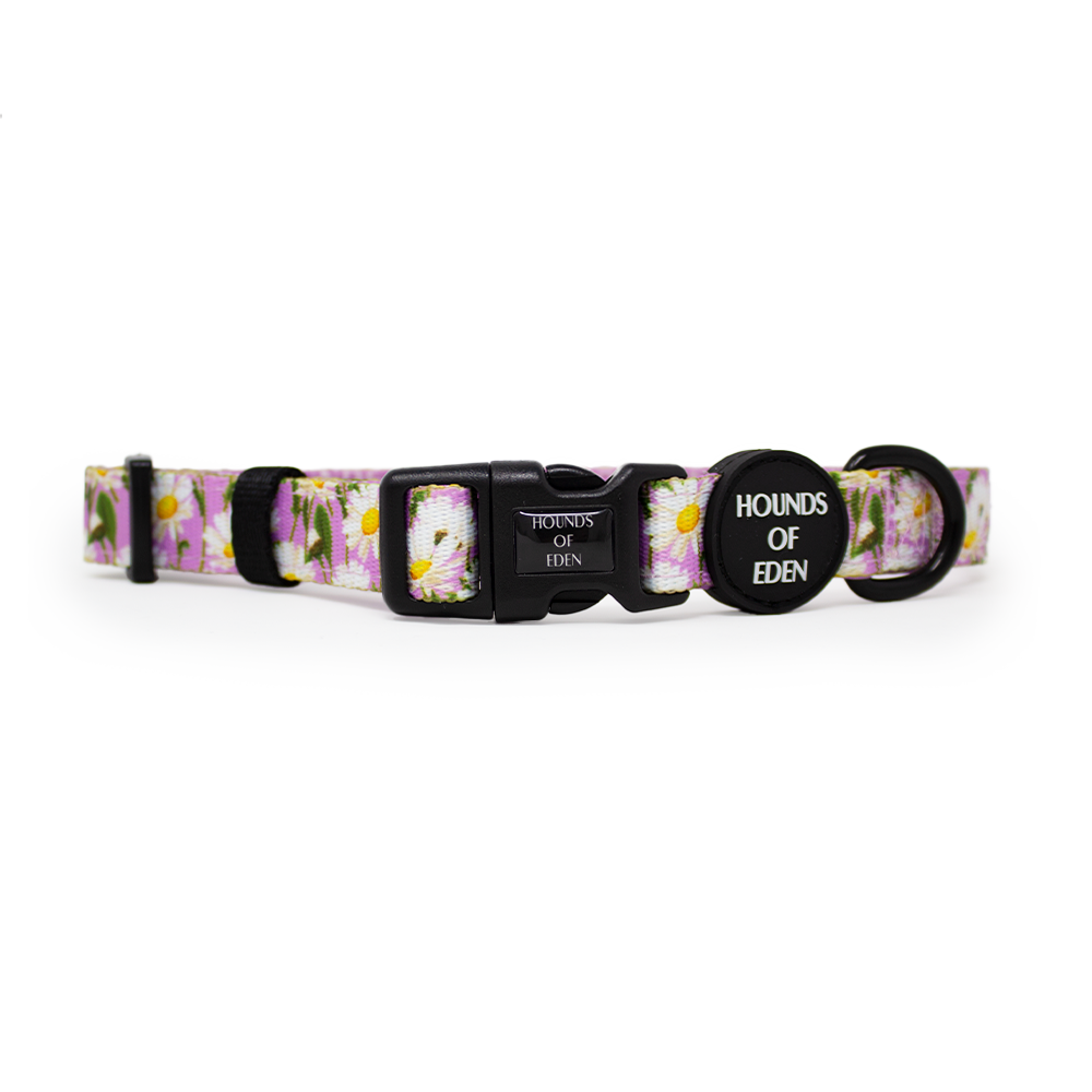 Daisy Dreams Design Dog Harness - The Bark Market