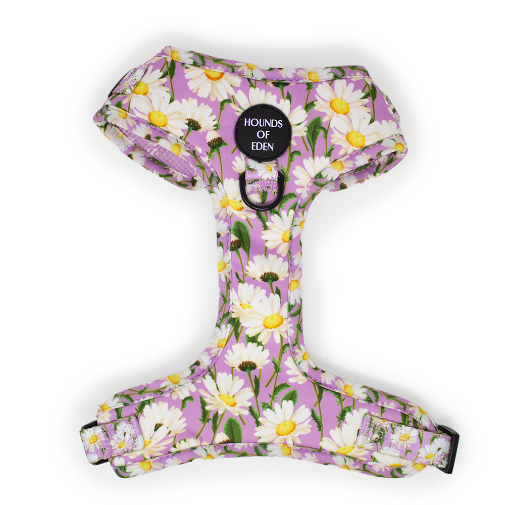 Daisy Dreams Design Dog Harness - The Bark Market