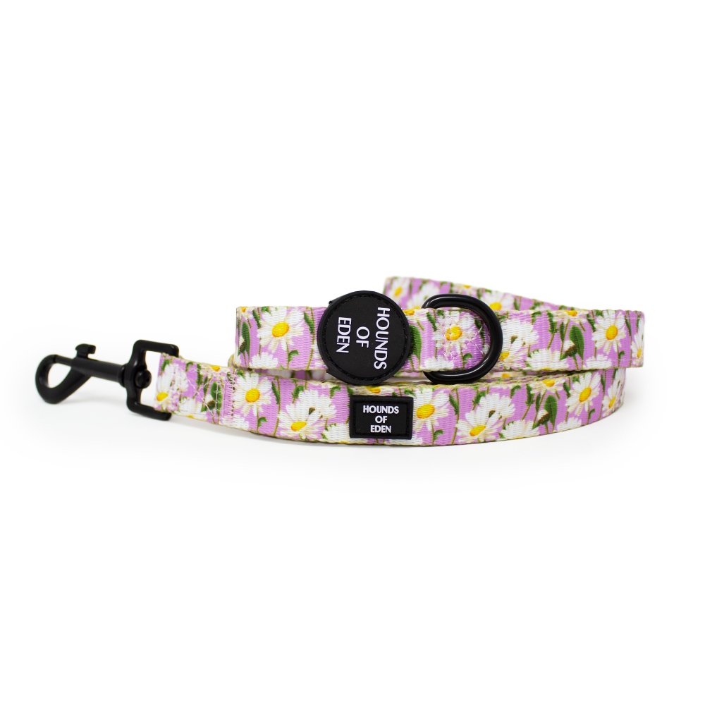 Daisy Dreams Design Dog Harness - The Bark Market