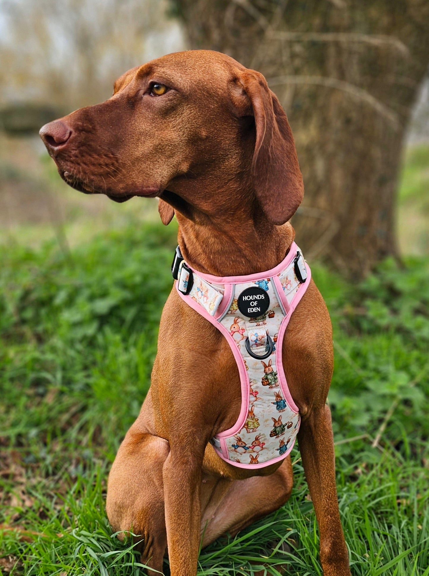 Bunny Tales - Pink, Dog Supaw Strong™ Lite Harness (XS-XL) - The Bark Market
