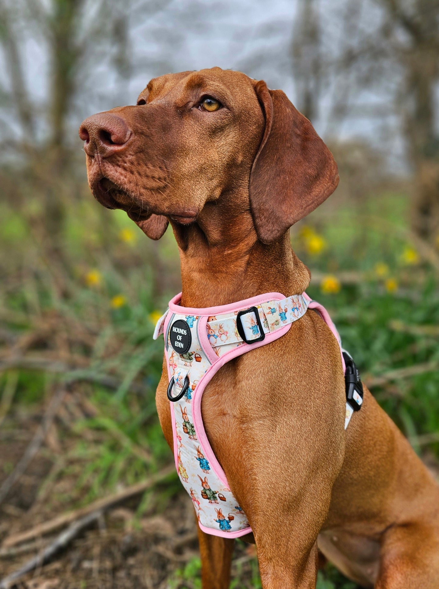 Bunny Tales - Pink, Dog Supaw Strong™ Lite Harness (XS-XL) - The Bark Market