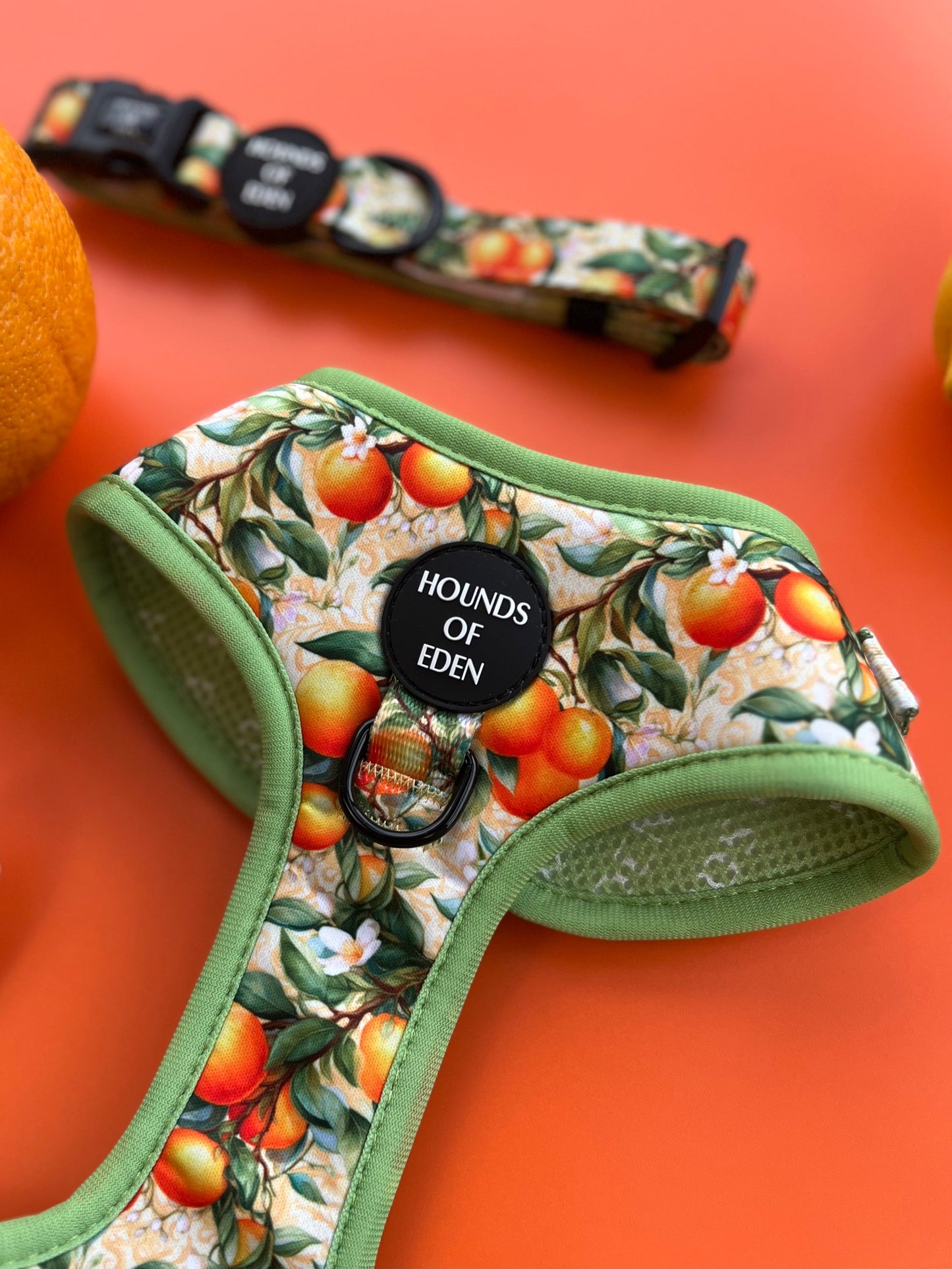 Simply the Zest - Oranges Dog Harness - The Bark Market
