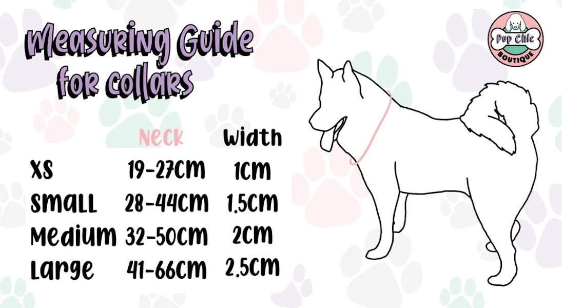 Otterly Lovely Dog Collar π¦¦π - The Bark Market