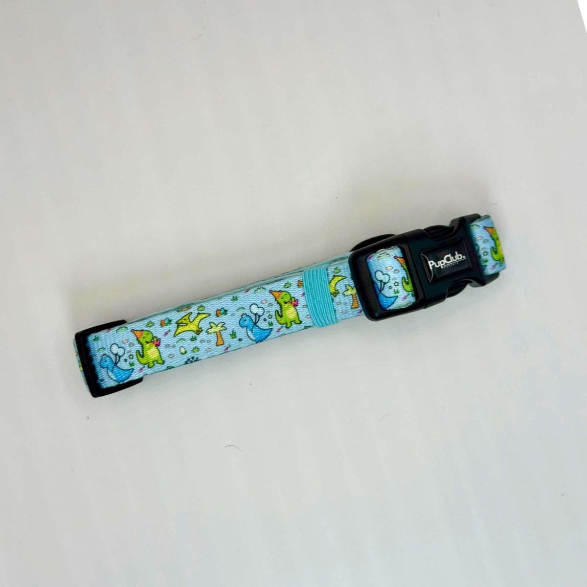 Collar - Jurassic Party - The Bark Market