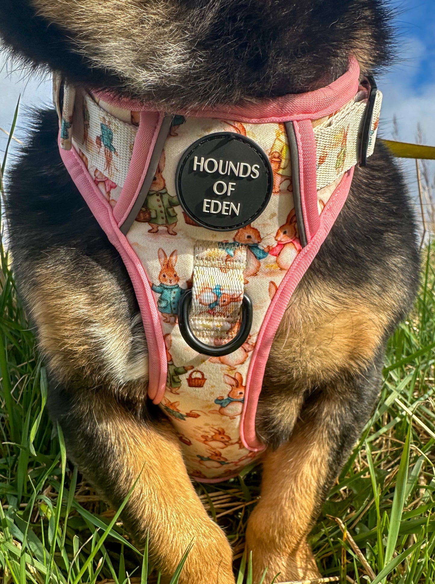 Bunny Tales - Pink, Dog Supaw Strong™ Lite Harness (XS-XL) - The Bark Market