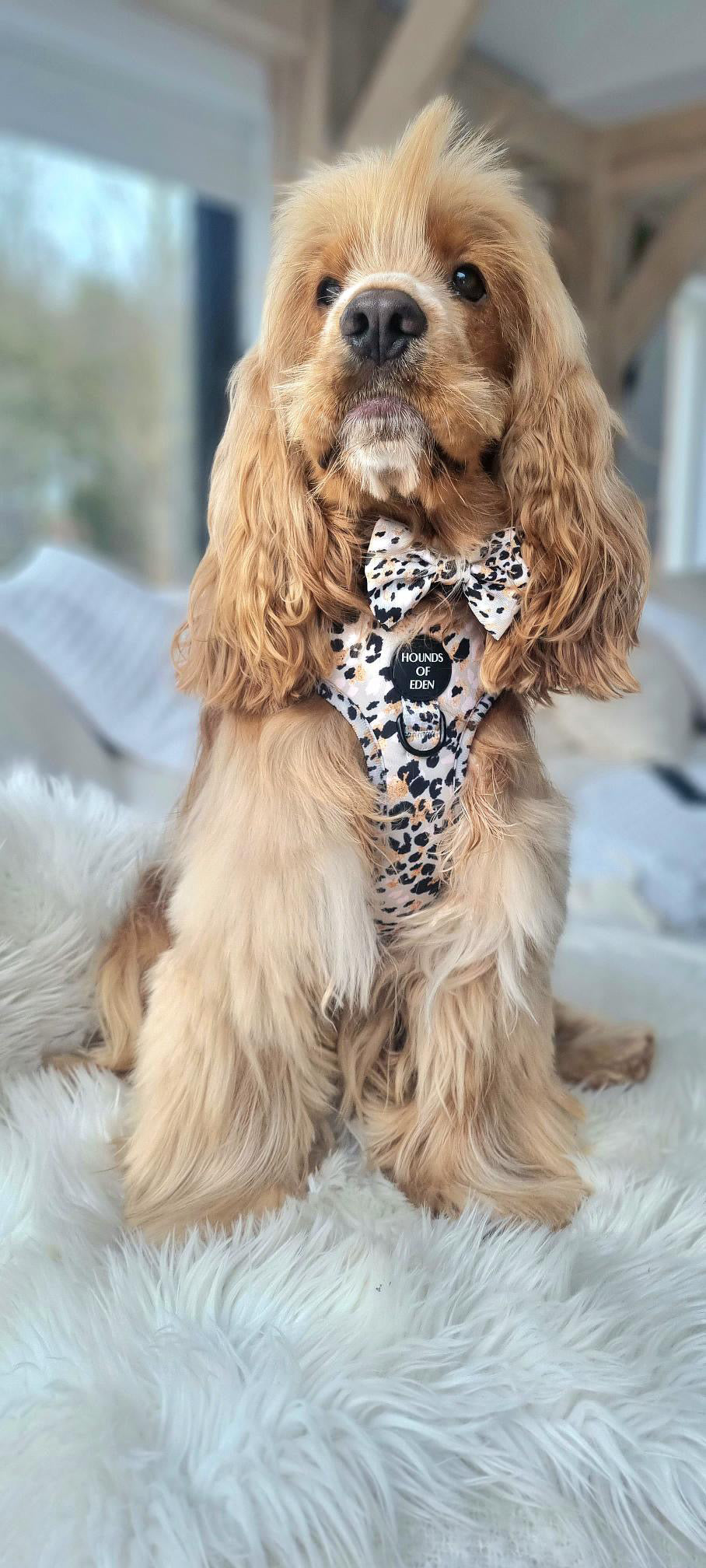 Sage Leopard Design Dog Collar - The Bark Market