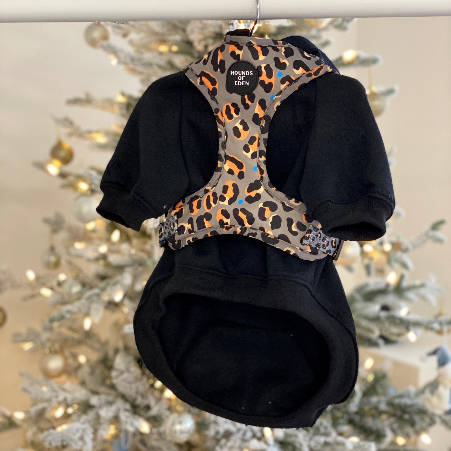 Dog Hoodie - Black - The Bark Market