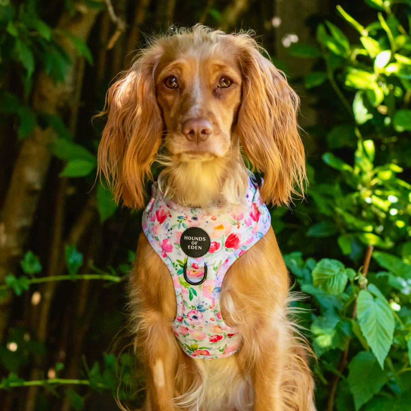 Ziggy's Secret Garden Design Dog Collar - The Bark Market