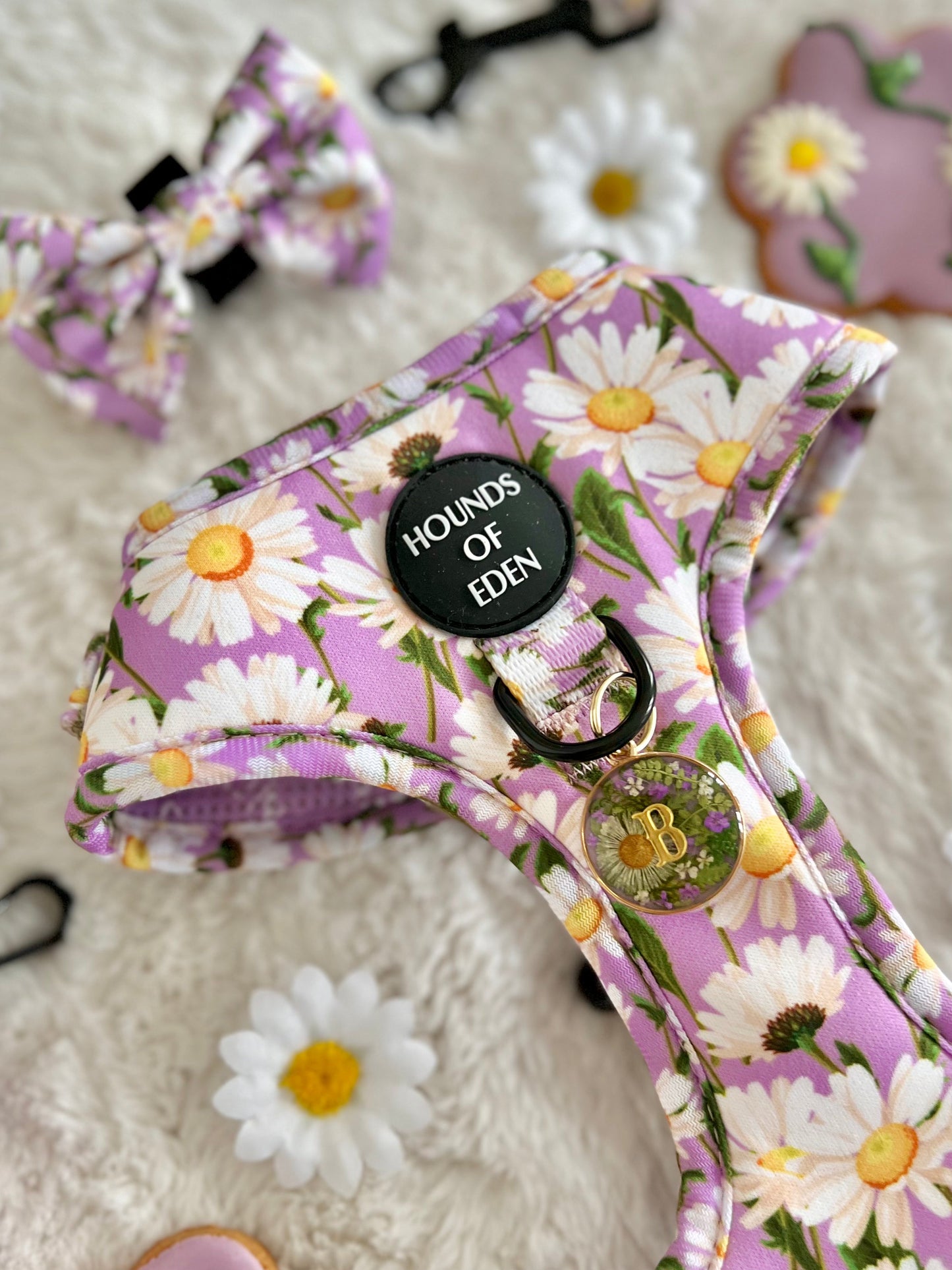 Daisy Dreams Design Dog Harness - The Bark Market