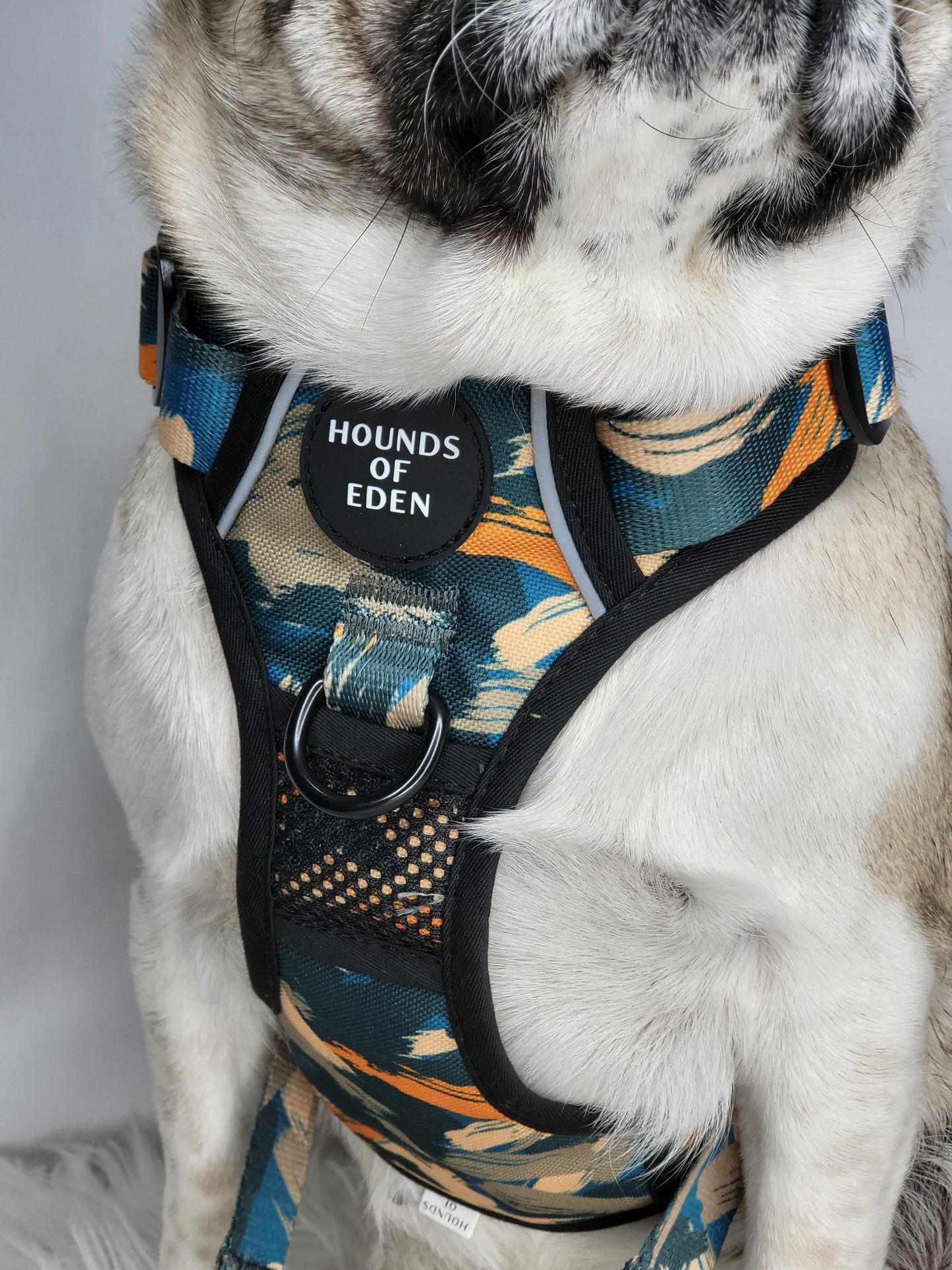 Supaw Strong™ 'Brush It Off' Utility Harness - The Bark Market