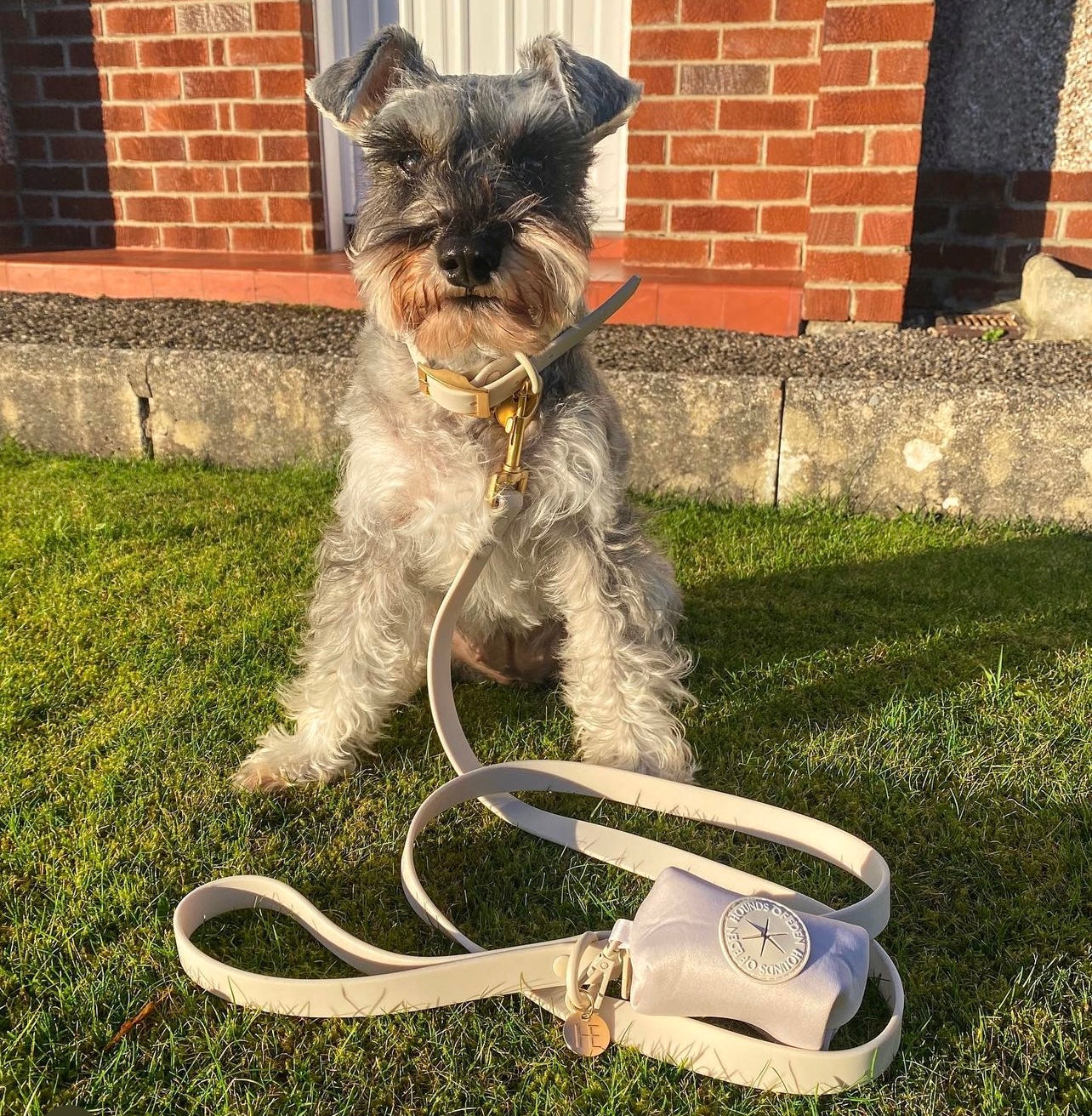 Oatmeal Latte 'All Weather' Dog Lead - The Bark Market
