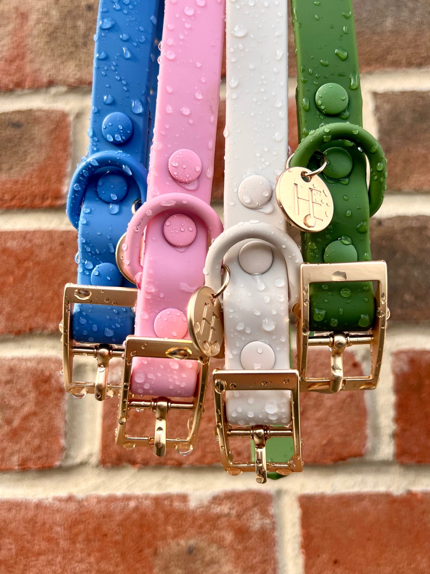 Oatmeal Latte 'All Weather' Dog Lead - The Bark Market