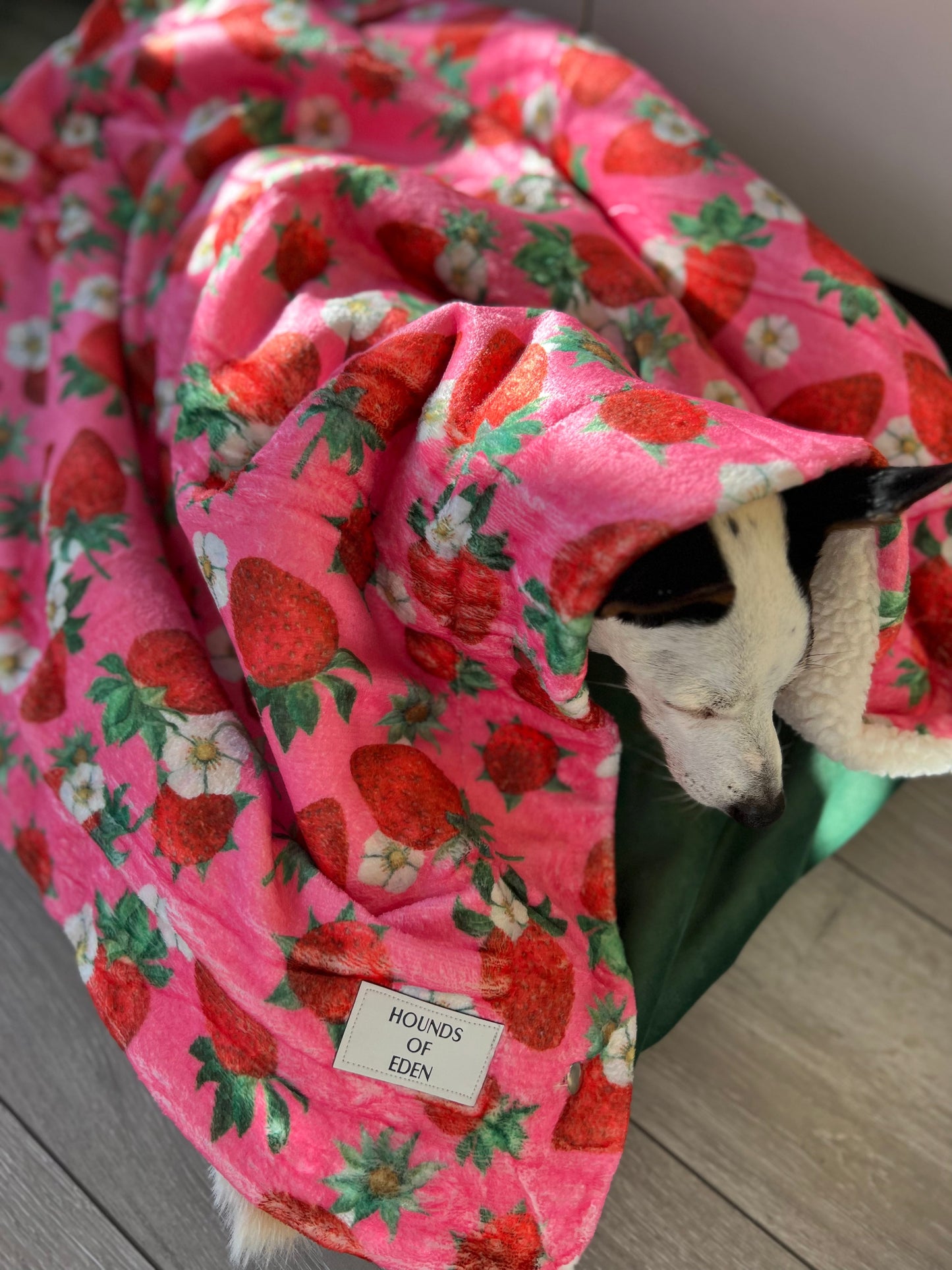 Strawberry Patch Design Dog Harness - The Bark Market
