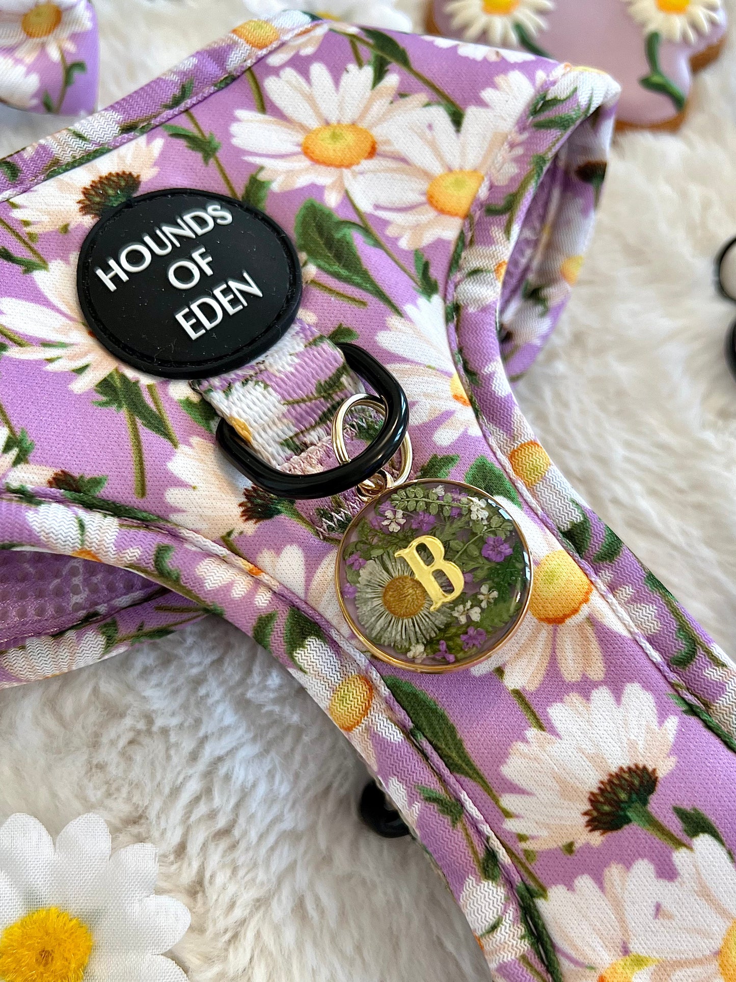 Daisy Dreams Design Dog Harness - The Bark Market