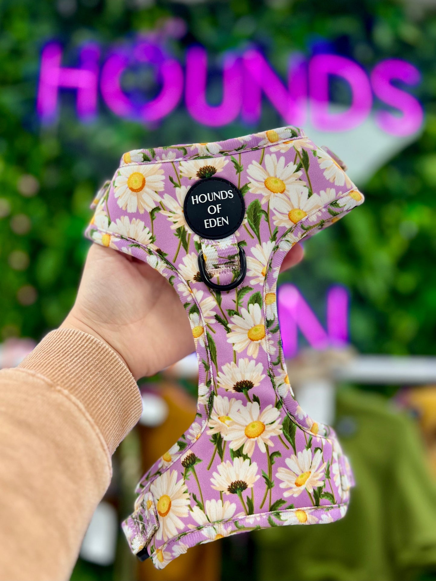 Daisy Dreams Design Dog Harness - The Bark Market