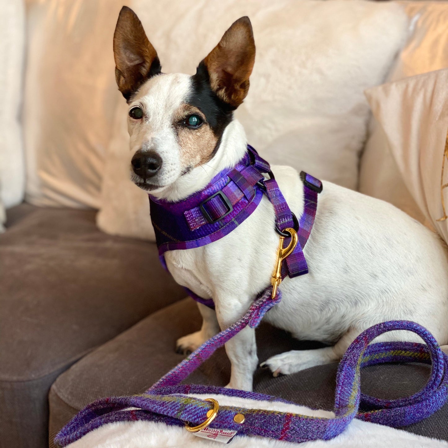 'Molly' - Pink & Purple Check Dog Harness - The Bark Market