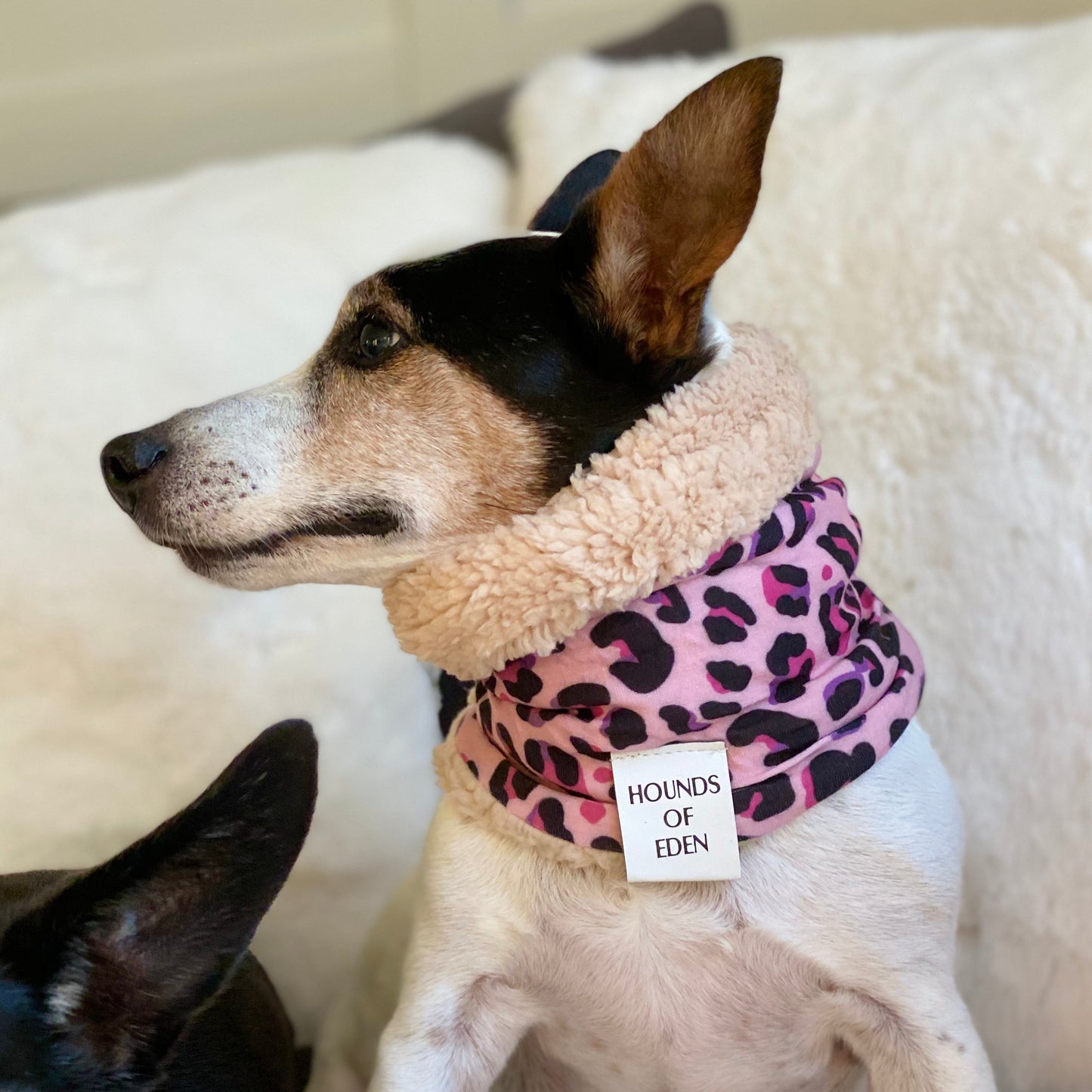Blushing Leopard Dog Snood - The Bark Market