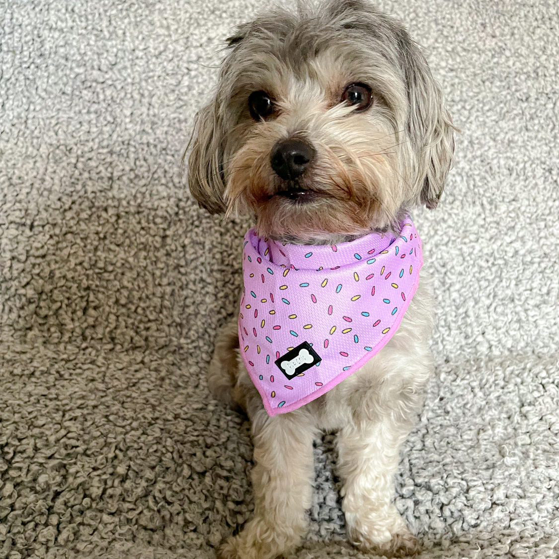 Sprinkles For Days Cooling Bandana - Pink - The Bark Market