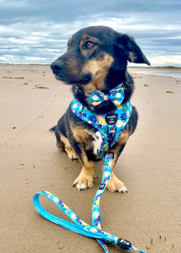 Under The Sea Design Dog Harness - The Bark Market