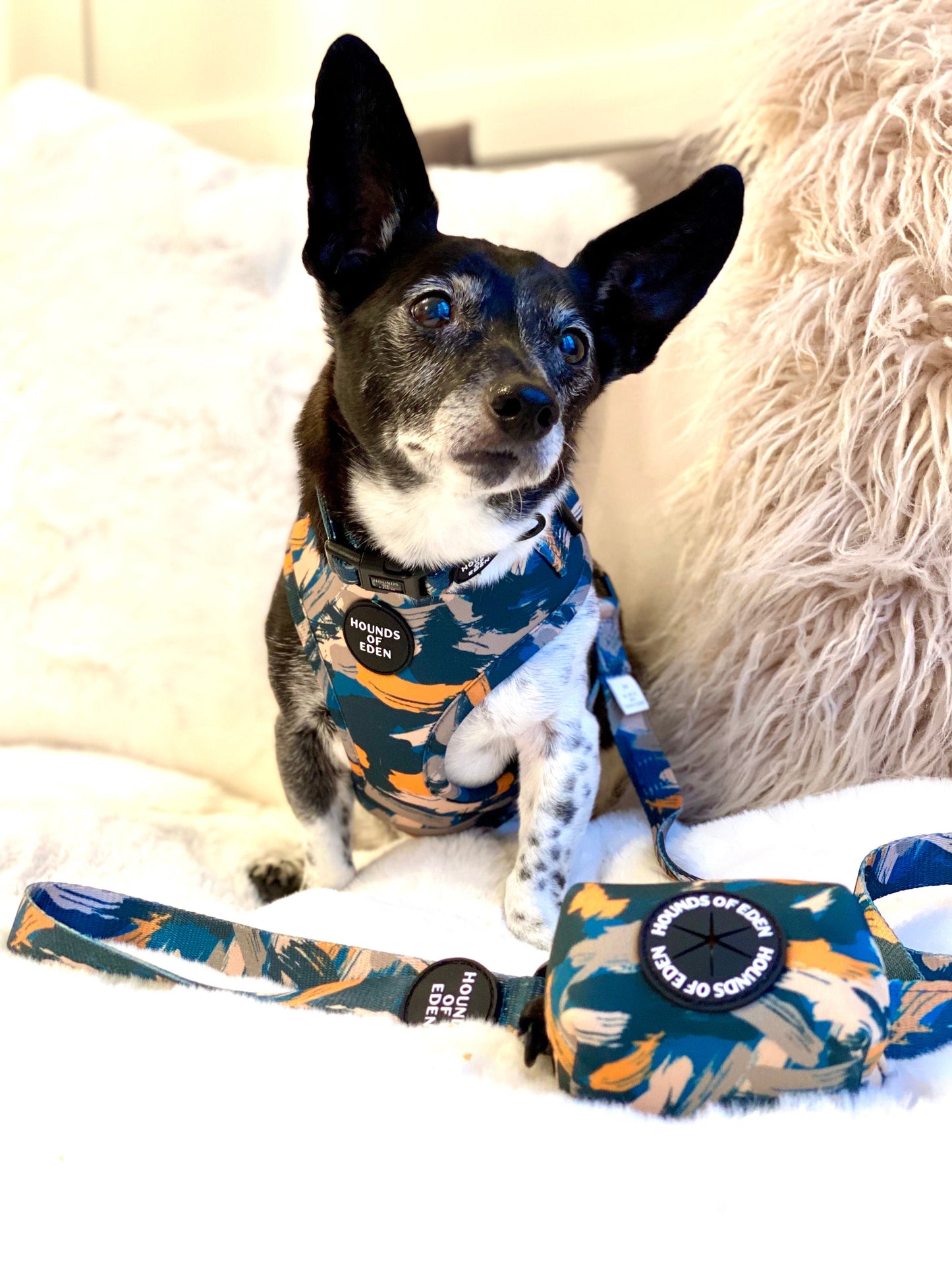 'Brush it Off' - Olive, Blue & Orange Camo Pattern Dog Harness - The Bark Market