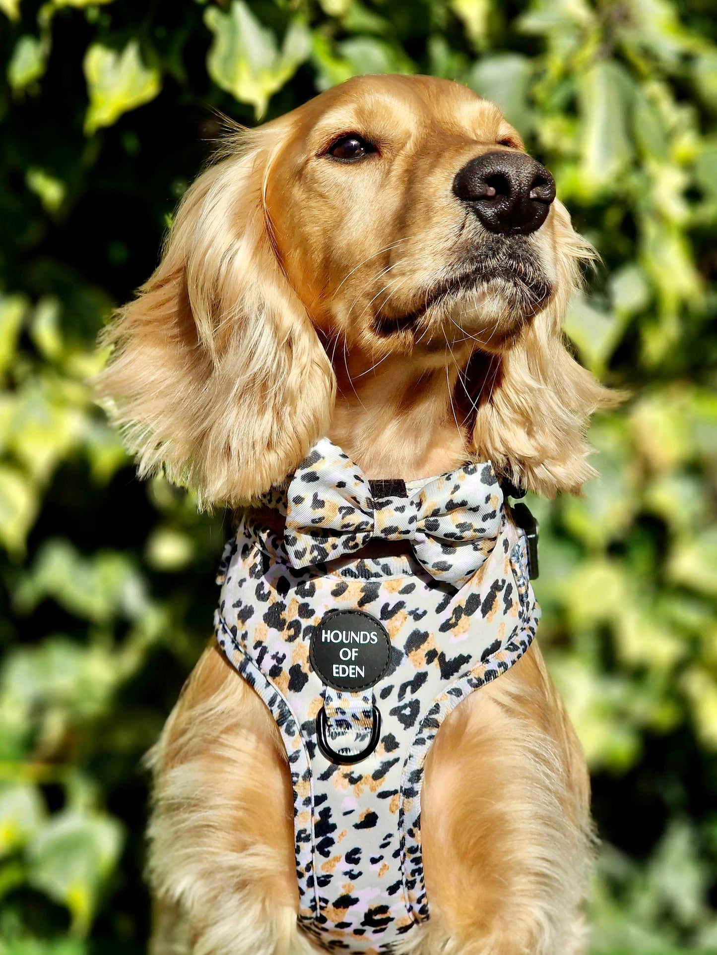 Sage Leopard Design Dog Harness - The Bark Market