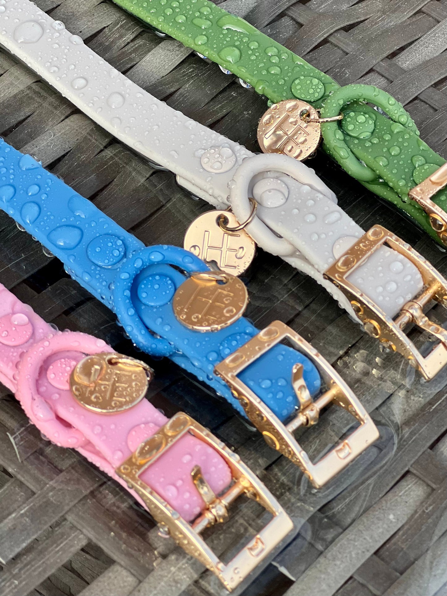 Oatmeal Latte 'All Weather' Dog Lead - The Bark Market