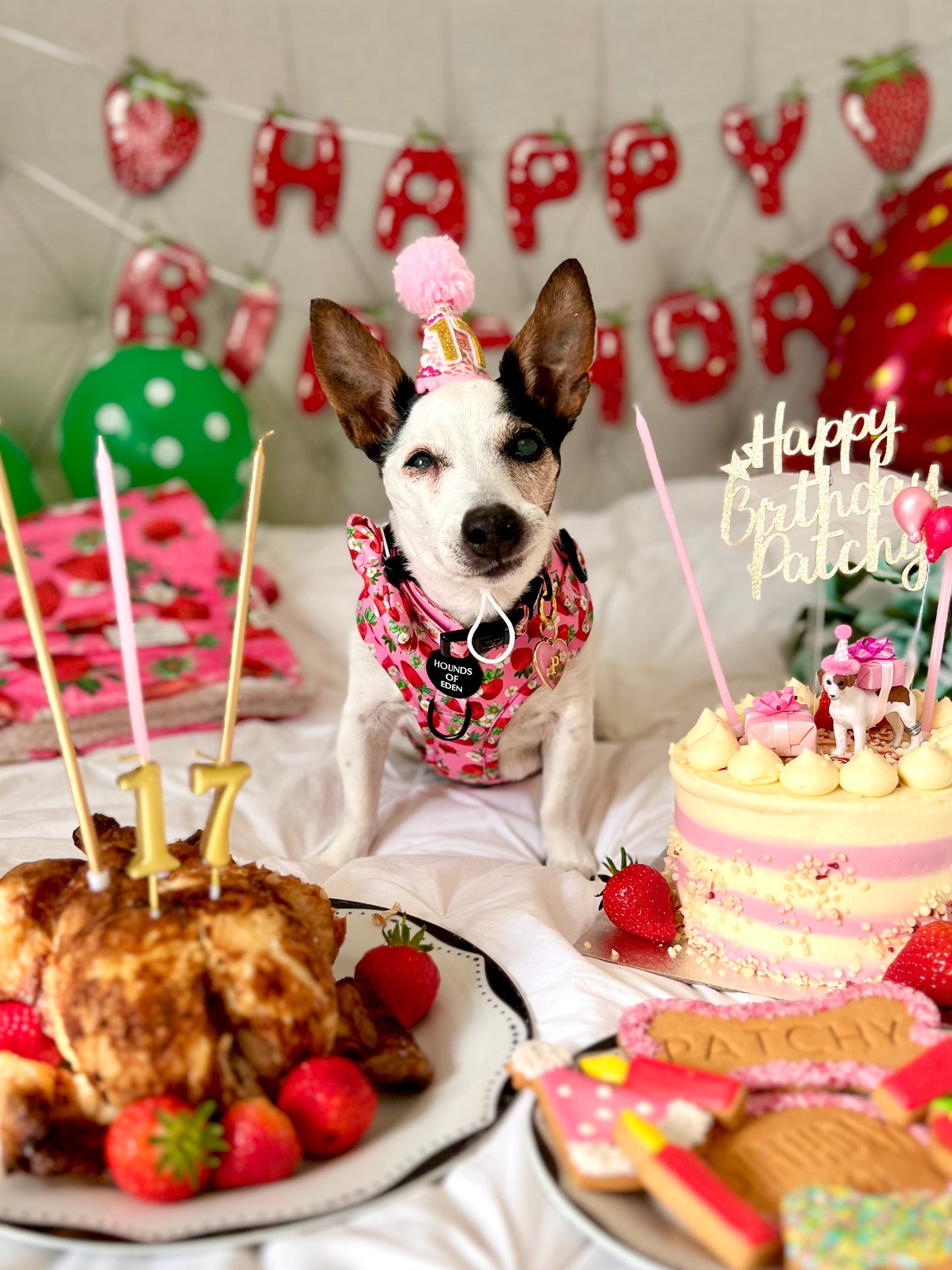 Strawberry Patch Design Dog Harness - The Bark Market