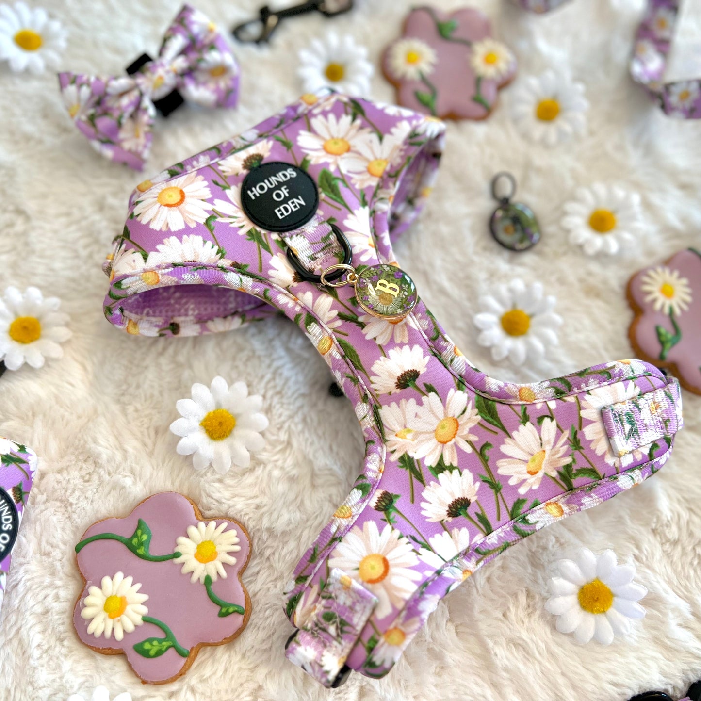 Daisy Dreams Design Dog Harness - The Bark Market