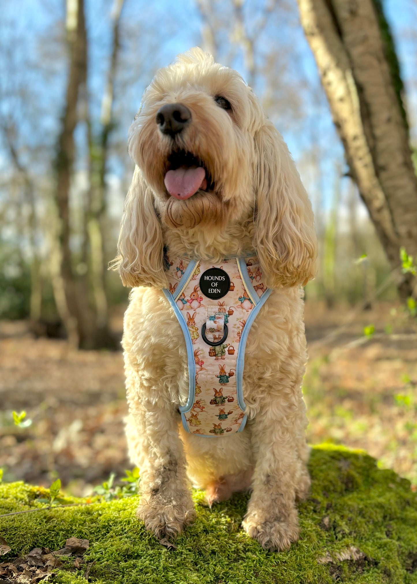 Bunny Tales - Blue, Dog Supaw Strong™ Lite Harness (XS-XL) - The Bark Market