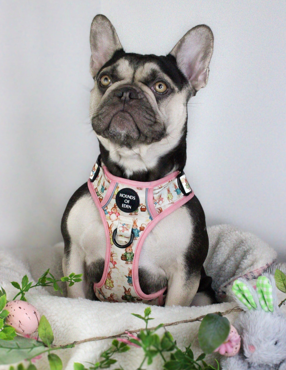 Bunny Tales - Pink, Dog Supaw Strong™ Lite Harness (XS-XL) - The Bark Market