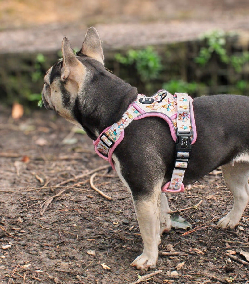 Bunny Tales - Pink, Dog Supaw Strong™ Lite Harness (XS-XL) - The Bark Market