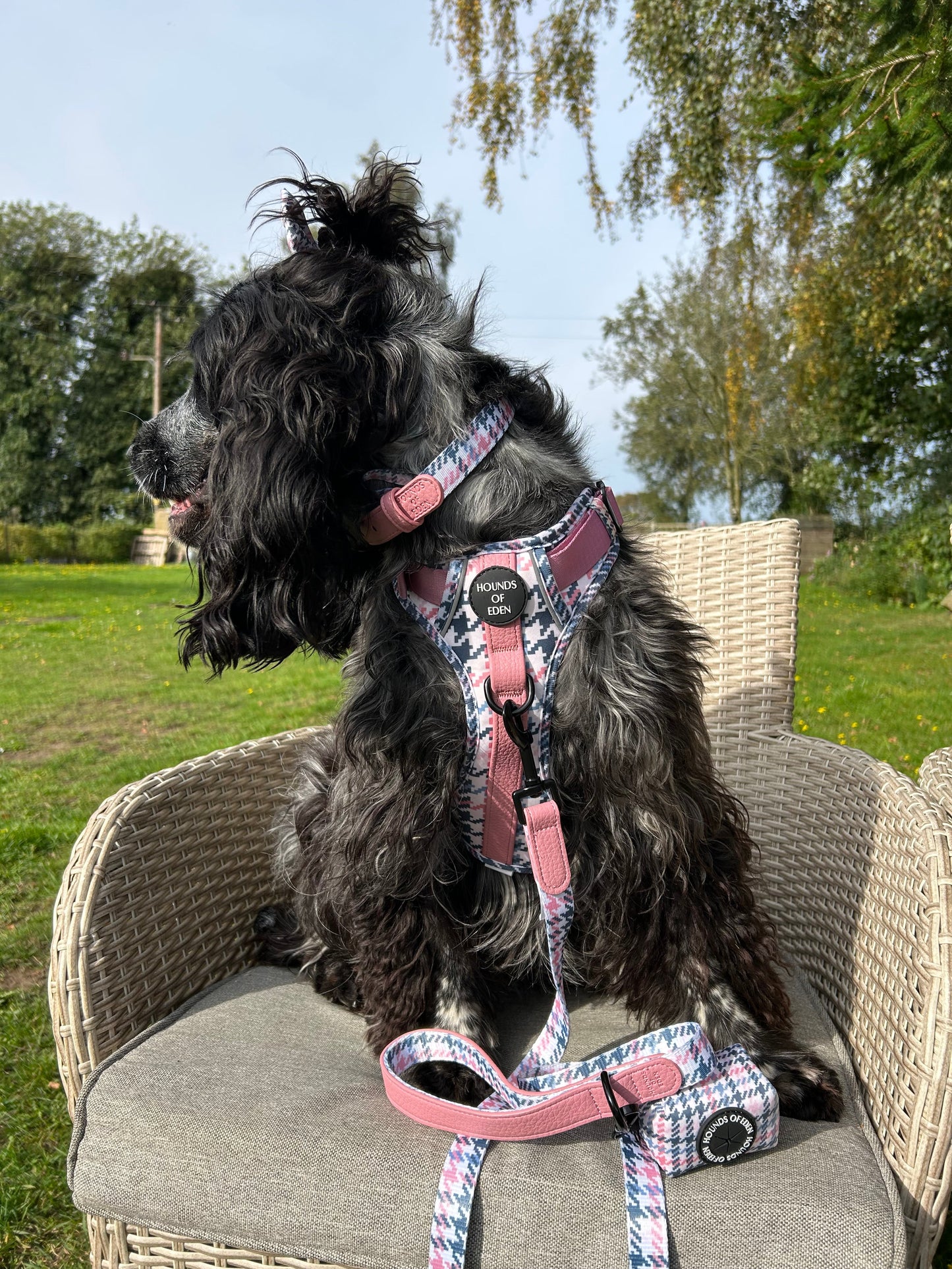 Pink Houndstooth Dog Supaw Strong Lite™ Harness (XS-XL) - The Bark Market