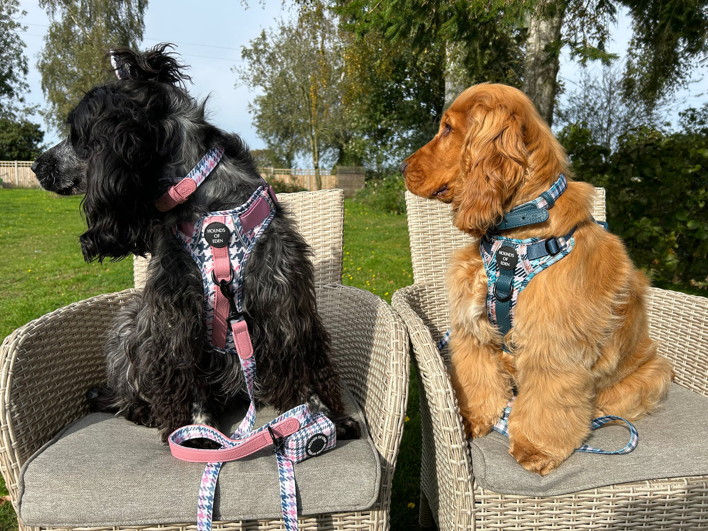 Pink Houndstooth Dog Supaw Strong Lite™ Harness (XS-XL) - The Bark Market